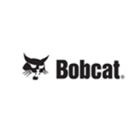 Bobcat
